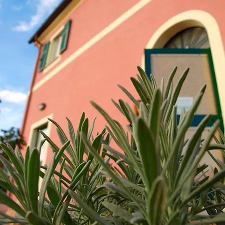 Agriturismo Alle Serre 萨尔扎纳